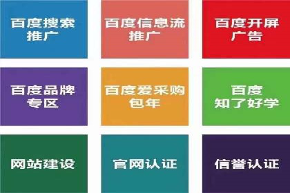 竞价SEM托管服务：成功案例揭秘